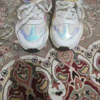 کتانی|کیف، کفش، کمربند|تهران, طیب|دیوار