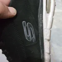 کتانی skechers سایز۴۱|کیف، کفش، کمربند|تهران, یافت آباد شمالی|دیوار