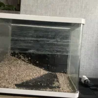 اکواریوم خم