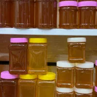 عسل|خوردنی و آشامیدنی|تهران, جوادیه|دیوار