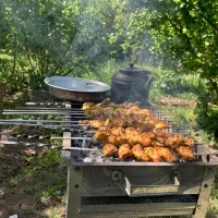 باغ-و-باغچه