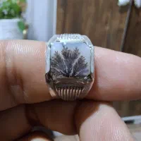 انگشتر شجر|جواهرات|اراک, |دیوار