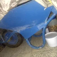 فرغون
