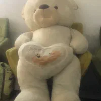 خرس ولنتاین