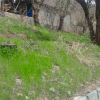 فروش باغ و باغچه در روستای امن|فروش زمین و ملک کلنگی|کن, |دیوار