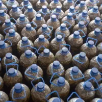 خیارشور‌اورگانیک|خوردنی و آشامیدنی|چنگ الماسی, |دیوار