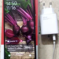 شیامی 14C در حد آک