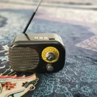 رادیو اسپیکر|پخشکننده همراه|قرچک, شهرک الحدید|دیوار