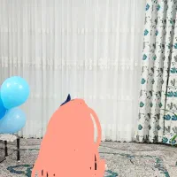 پرده همراه با دستک|پرده، رانر، رومیزی|مشهد, شهرک مهر آباد|دیوار