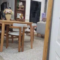 آینه قدی با چاپ روس سایز کوچک 150*60