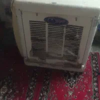 کولر بزرگ مارک سوزان