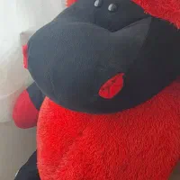 عروسک پولیشی