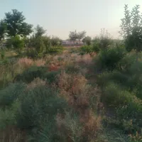 فروش زمین باغ ۱۴۰۰ متری حاشیه خادم آباد|فروش زمین و ملک کلنگی|مشهد, شهرک شهید باهنر|دیوار