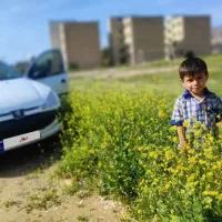 خودرو206