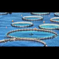 کارگر پرورش ماهی