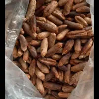 هسته خرمای|خوردنی و آشامیدنی|کاشان, باهنر|دیوار