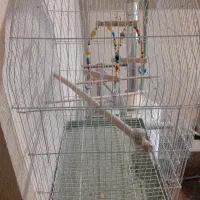 قفس پرنده و لانه عروس و برزیلی در حد نو