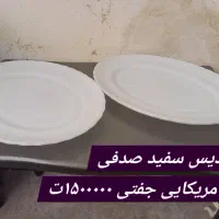 دیس صدفی امریکایی