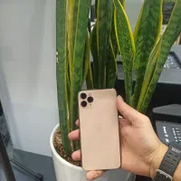 iPhone 11 Pro Max.|موبایل|قم, انسجام|دیوار