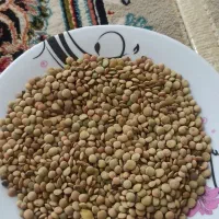 عدس اشی|خوردنی و آشامیدنی|گیلان غرب, |دیوار