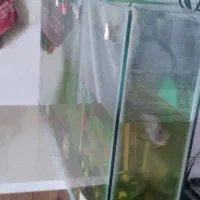 آکواریوم ماهی سالم طول ۸۵ عرض ۱۵ و ارتفاع۴۵|ماهی|شاهینشهر, شهرک گلدیس|دیوار