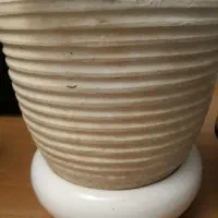 گلدان|گل و گیاه طبیعی|ری, هاشم‌آباد|دیوار