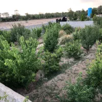 باغچه فروشی