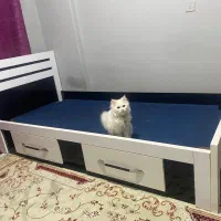 تخت خواب تکنفره های کلاس