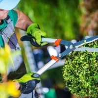 خدمات باغبانی گلکاری باغچه کاری تعویض خاک گلدون|خدمات باغبانی و درختکاری|نسیمشهر, |دیوار