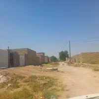 زمین-250-متر-سندشش-دانگ