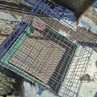 قفس حیوانات