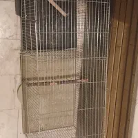 قفس جوجه پران|لوازم جانبی حیوانات|اصفهان, شهرک میلاد|دیوار