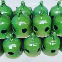 کبوتر ملزومات پرنده