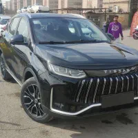 تیگارد تیسان خشک