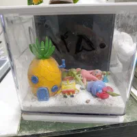 انواع آکواریوم دست دوم ونو وملزومات زیر قیمت بازار|ماهی|بوشهر, |دیوار