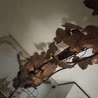 کنار سالنی آباژورایستاده فرفورژه. ای سالم|چراغ خواب و آباژور|قرچک, مهدیه|دیوار