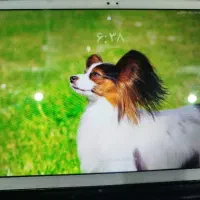 تبلت A7 سامسونگ در حد نو قیمت 13/000/000