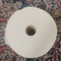 پداپلاسیون بهداشتی