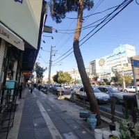 7-متر-تجاری-بلوار-اصـلی-پاساژ-فعـال-سنـد-تکبرگ