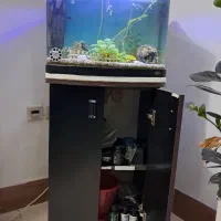 آکواریوم با میز ایستاده دو درب|ماهی|رشت, فلسطین|دیوار