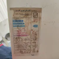 آبگرمکن دیواری بوتان