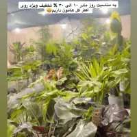 کادویی روز مادر|خدمات پذیرایی، مراسم|خمین, |دیوار