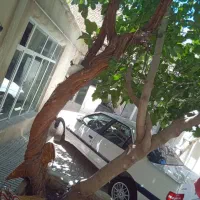 ۱۷۳ مترویلایی برخیابان اصلی|فروش خانه و ویلا|کرمانشاه, |دیوار