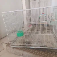 قفس پرنده
