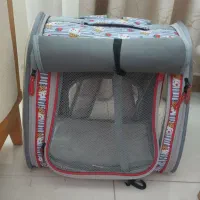 شیتزو فلت دختر۷ماه|سگ|رشت, فلسطین|دیوار