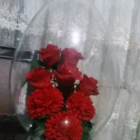 گوی گل بسیار زیبا و کاملا سالم و نو