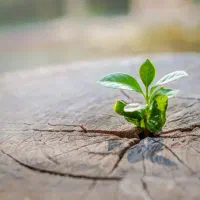 زوج طبیعت گرد و کوهنورد طبیعتگرد بانوان