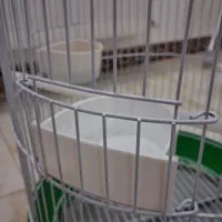 قفس گرد سبز|لوازم جانبی حیوانات|فردیس, شهرک ناز|دیوار
