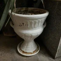 گلدان سرامیکی|گل و گیاه طبیعی|برازجان, |دیوار