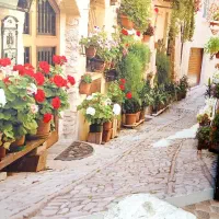 فروش واحد سایت اداری|فروش آپارتمان|بیرجند, |دیوار